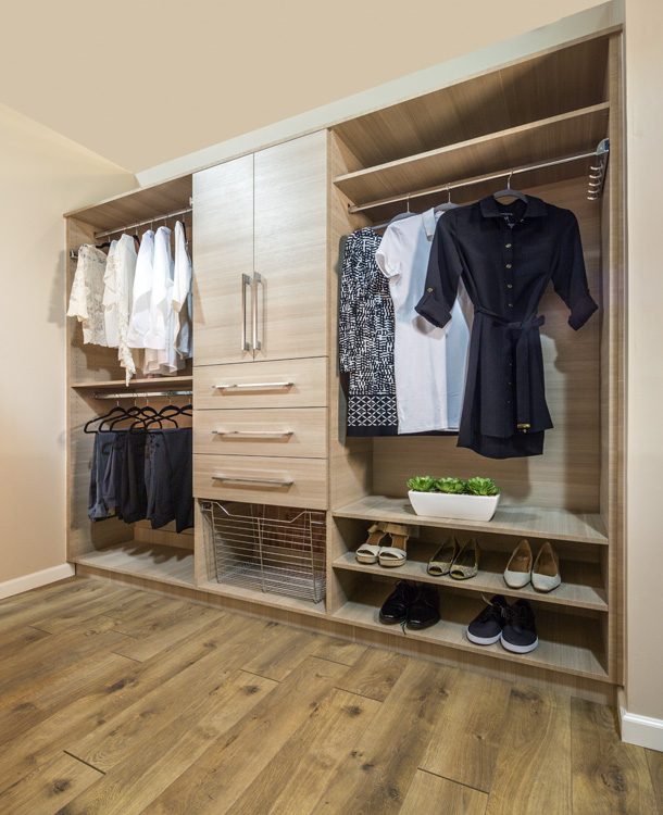 Reach-in Closets project 2